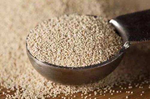 好博平台_好博（中国）一站式服务平台