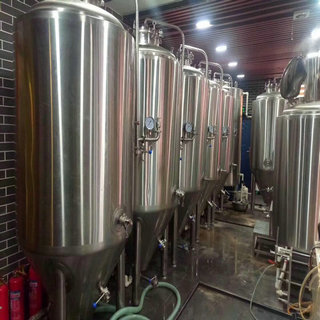 酒店啤酒发酵设备 酒店啤酒发酵设备