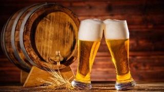 精酿好博平台_好博（中国）一站式服务平台