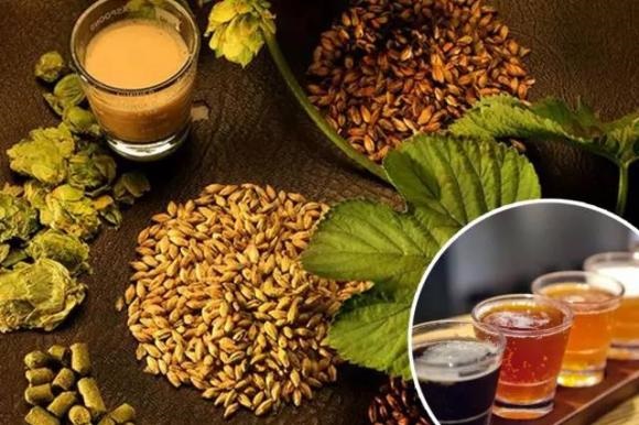 精酿啤酒--山东豪鲁好博平台_好博(中国)一站式服务平台 精酿啤酒--山东豪鲁好博平台_好博(中国)一站式服务平台